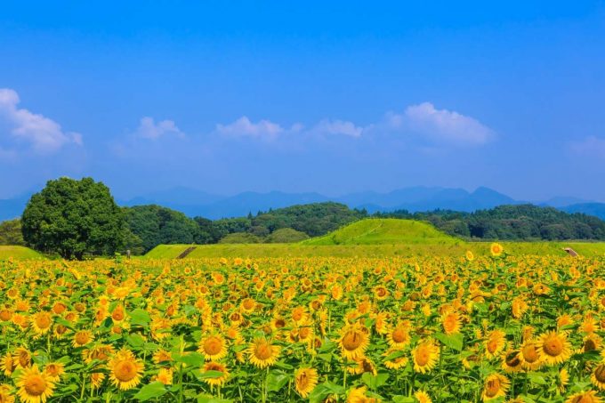 宮崎県のインスタ映えするスポット厳選30選