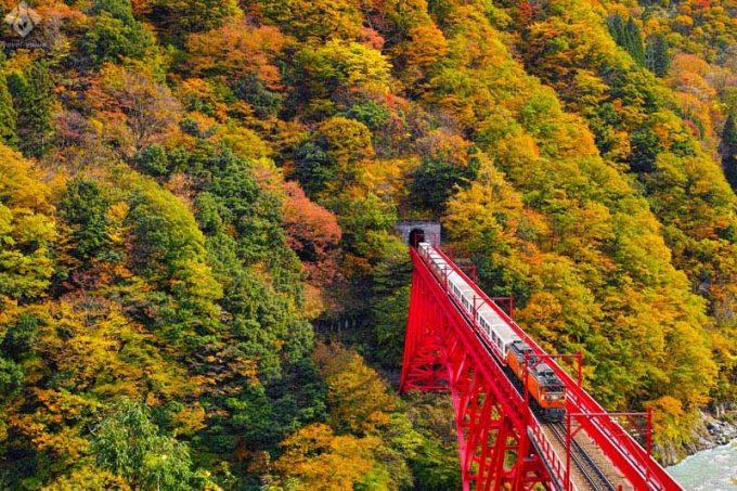 黒部峡谷トロッコ電車とは？