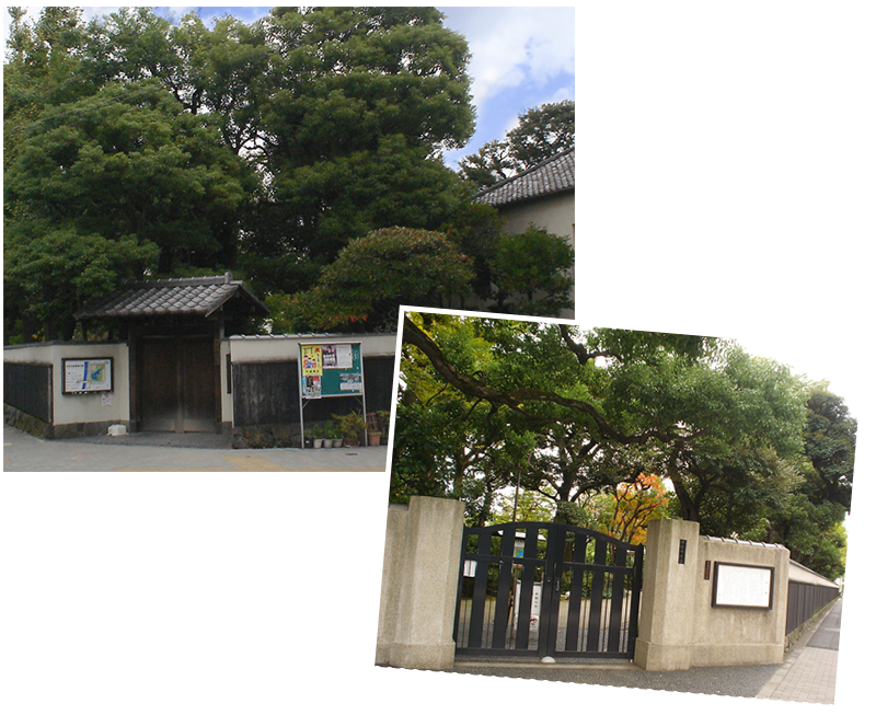 Old Yasuda Garden